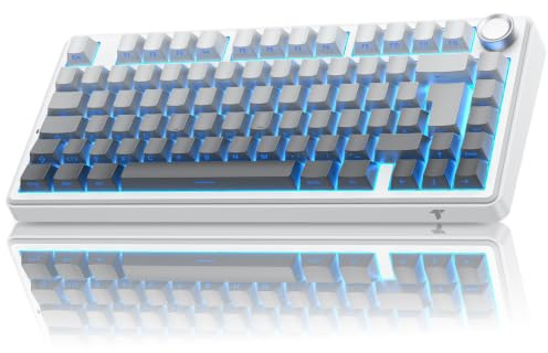 TECURS 75% Gaming Tastatur Kabellos, DREI-Modus 2.4GHz/BT5.0/Type-C RGB Rote Schalter Mechanische Tastatur, Hot Swap, Seitliche Gravur PBT-Tastenkappen mit Drehknopf, QWERTZ (Gradient Grau)