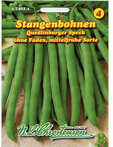 Stangenbohnen 'Quedlinburger Speck' mittelfrüh, grün, ohne Fäden
