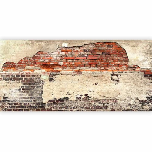 murando - Fototapete XXL Ziegelmauer 600x280cm- Foto Tapete Schlafzimmer Wohnzimmer Vliestapete XXL Wandtapete Motivtapeten Bildtapete 3d Effekt Wand Dekoration - Ziegel Ziegelstein f-A-0503-x-f