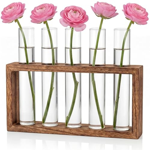 Cieex Kleine Vintage Blumenvase, Modern Glas Reagenzgläser Mit Ständer Holz, Vasen Deko Set für Hydrokultur Pflanzen Tischdeko Hause Büro Wohnzimmer Küche Oma Geschenk zum Muttertag Muttertagsgeschenk