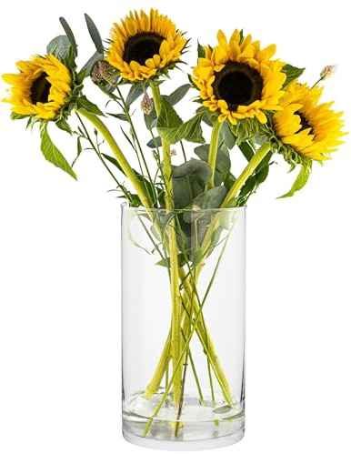 Trend For Home Magnolia Glasvase Groß 5,1L, 29 x Ø 15,8 cm Zylinder, Hohe Bodenvase für Osterstrauch, Pampasgras und Langstielige Blumen, Windlicht, Laterne, Transparent, Rund, Bleifreies Glas