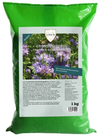 Linsor Phacelia Samen, Bienenfreund, Humusbildung, Blühwiese, 1kg für 200m²