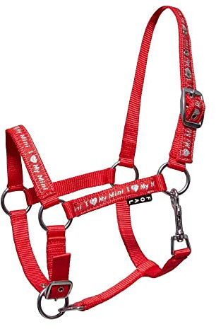 Start ILoveMyMini Reithalfter für Fohlen, verstellbar an Kinn- & Genickstück Fohlenhalfter, Halfter für Fohlen - Halfter für Mini Shetty Halfter für Holzpferd (Rot liniert, Foal)