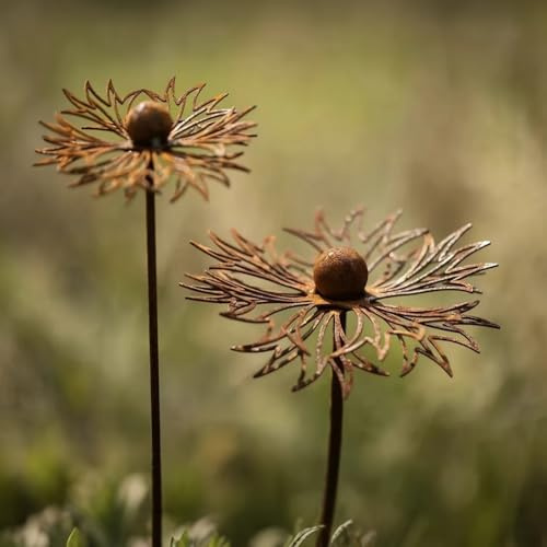 yeeplo 2er Rostige GartendekoSet Rost Deko für Garten Cortenstahl Gartenstecker Metall Blume Mohn Gartendeko Rost Rankstab Beetstecker Topfstecker Naturrost (B)