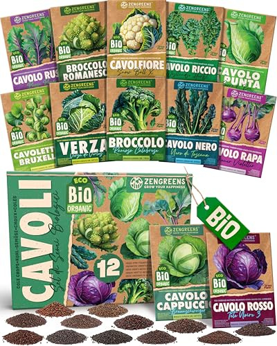 ZenGreens® - Bio Kohlgemüsesamen im 12er Set - 12 Kohl Gemüse Samen für den einfachen Anbau im Garten, Balkon oder Hochbeet - Pflanzensamen - Saatgut