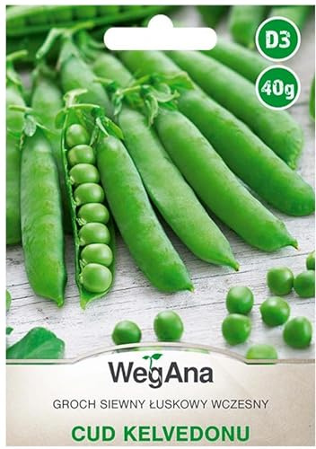 WegAna Erbsen Cud Kelvedonu/Wunder von Kelvedon Früh 40g Samen, Robuste Gemüsesamen, Gemüse Samen, Samen Anzucht, Saatgut für Gewächshaus