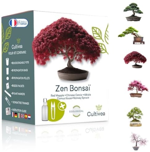 Bonsai Starter Kit – Set Bonsai Anzuchtset 6 verschiedene Bonsaï-Samen – Wachstumsanleitung enthalten - Züchten Sie Ihren wunderschönen Bonsai – Geschenkidee für Männer und Frauen - CULTIVEA®