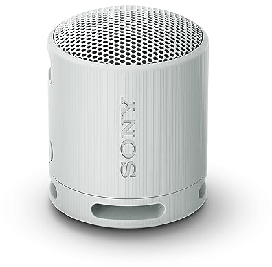 Sony SRS-XB100 - Kabelloser Bluetooth-Lautsprecher, tragbar, leicht, kompakt, Outdoor, Reise-Lautsprecher, langlebig, IP67 Wasser- und staubdicht, 16 Std Akku, Trageriemen, Freisprechfunktion, grau