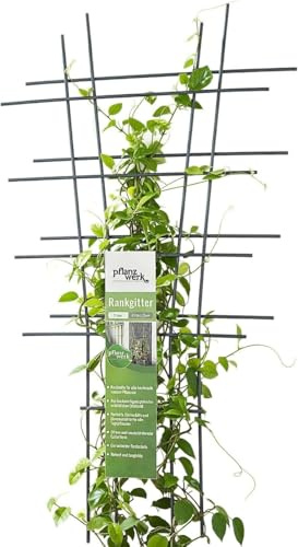 Pflanzwerk® Pflanzkübel Rankgitter - 2 Stück - 45x25cm Pflanzen Rankhilfe Blumen Rosen Kletterhilfe 100% ROSTFREI - 100% WURZELSCHUTZ - 100% UV-Schutz - 10 Jahre GARANTIE
