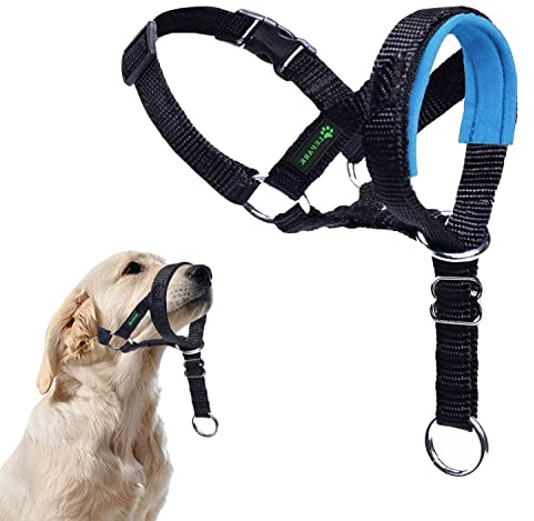 ILEPARK Hundehalfter mit Sicherheitsgurt, Kopfgeschirr für Hunde, um das Ziehen zu stoppen, verstellbar und leicht zu kontrollieren (L, Blau)