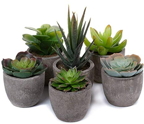T4U 6er Set Klein Kunstpflanze Sukkulenten Künstlich Dekorative Kunstpflanzen wie echt Pflanzen mit Topf, Deko Fake Plant für Hochzeit Büro Zuhause Wohnung Wohnzimmer Badezimmer Dekoration