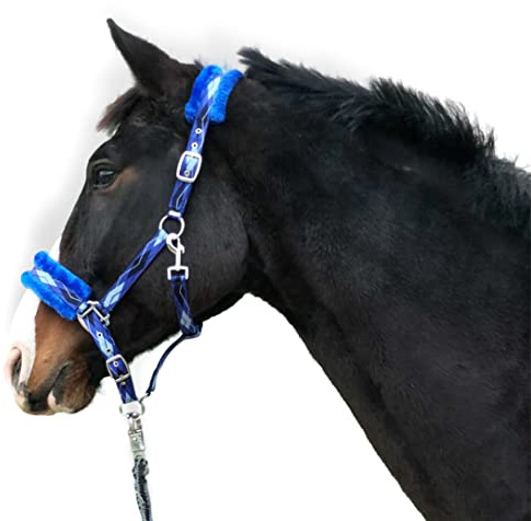 Pferdelinis Halfter für Pferde Fell Halfter unterlegt Halfter blau in den Größen xfull Halfter, Pony, Cob, Warmblut (Blau, Pony)