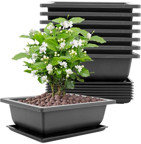 LDHHYH 8 Stück Bonsai Schale Groß,23x17x8cm Bonsaischale mit Tabletts, Kunststoff Bonsai Schale,Bonsais Töpfe Geeignet für Gärten Innenhöfe Büros Wohnzimmer Balkone (Schwarz)