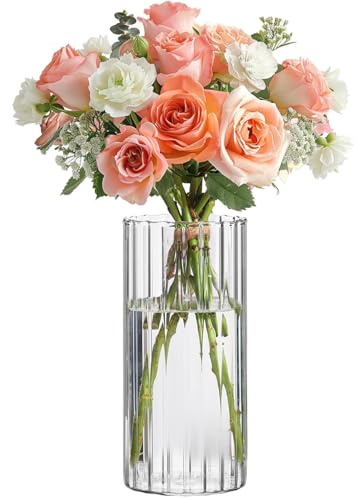 ComSaf Vase Innenrippen-Glasvase, Blumenvase für Tischdeko, Klar, 20 cm | Zylinder Rund Gross Borosilikat, Tulpen, Rosen, Pampasgras, Trockenblumen, Wohnzimmer, Hochzeit und saisonale Dekoration