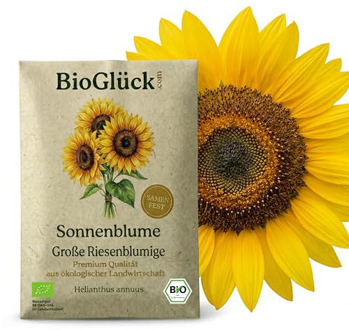BioGlück Bio-Sonnenblume Riesenblumig – Samenfest – Imposante Blütenköpfe bis 3m Höhe – Saatgut für Garten, Bienen & Vögel