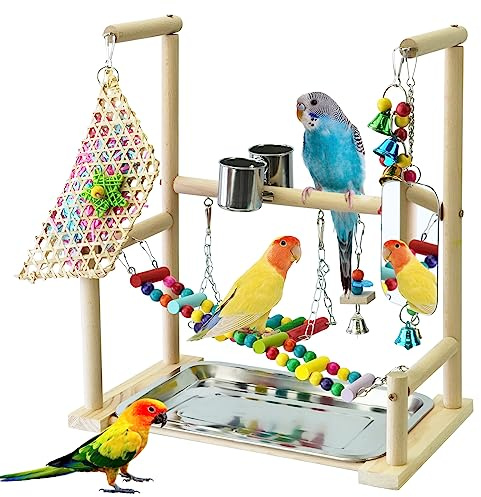BREUAILY Papageien Spielplatz mit Spiegel Naturholz Vogel Ständer Papageien Spielständer mit Edelstahl Futtertasse Schaukel Leiter Glocken für kleine Sittiche Nymphensittiche Wellensittiche