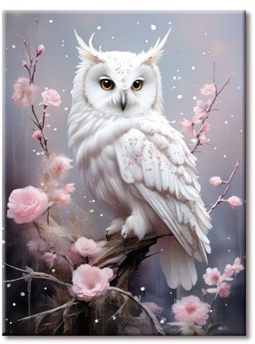 77iiAii Diamond Painting Erwachsene Eule 30x40cm | Diamant Painting bilder Kreative Geschenke für Geburtstage, Muttertag und Weihnachten – Wanddekoration für Zuhause