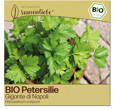 Samenliebe BIO Petersilie Samen | Gigante di Napoli - winterhart & großblättrig - samenfestes BIO Saatgut