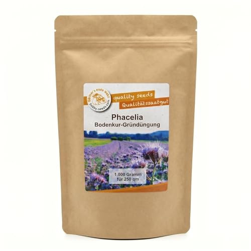 Gärtner's erste Wahl! Bobby-Seeds Phacelia Samen Bienenfreund/Büschelschön 1 kg für ca. 250 m², Gründüngung & Bienenweide Saatgut ohne Gentechnik, einjährig