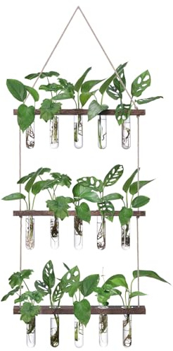XXXFLOWER Reagenzgläser für Blumen,Kleine Vasen Set mit Ständer für Pflanzen,3X5 Propagation Station,Ableger Pflanzen Glas für Hydrokulturpflanzen Stecklinge,Zimmerpflanzen Zubehör Pflanzenterrarium