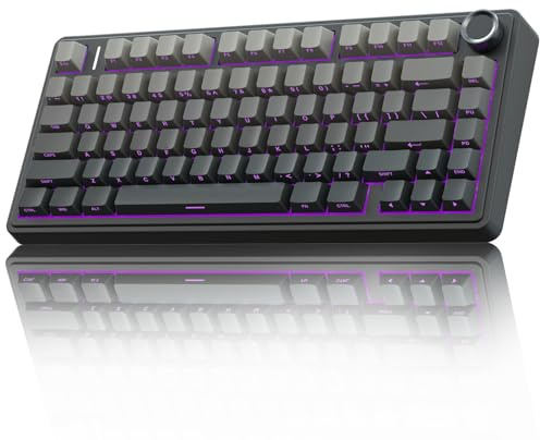 AULA F75 PRO Mechanische Tastatur Gaming,2.4GHz/Type-C/BT5.0 Mechanical Keyboard,Seitlich Graviert,Fünfschichtige Polsterung Struktur,QWERTY,Hot-Swap Kabellos Gaming Tastatur 75 Prozent (Grau)