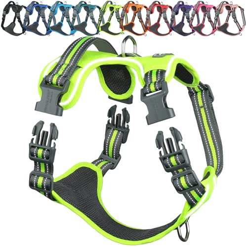 VIVAGLORY Anti Zieh Geschirr für Hunde Hundegeschirr, XS, Neongelb, A | Antizuggeschirr mit Gepolstert Griff & Brustring, Anti Zieh Mitwachsend Ausbruchsicher & Reflektierend für Welpe Hund