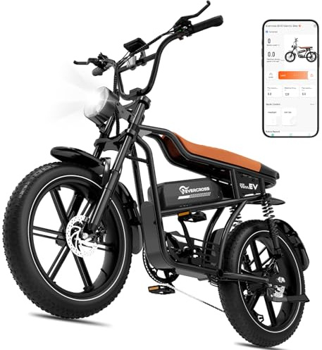 EVERCROSS EK30 E Bike,Abnehmbarer Akku,bis 100 km Reichweite | 20 zoll fatbike,48V 15.6AH Akku, 250W Motor, Höchstgeschwindigkeit bis 25 km/h,für Damen und Herren