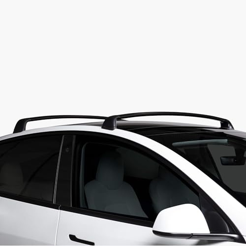 Tesla Model Y Dachgepäckträger