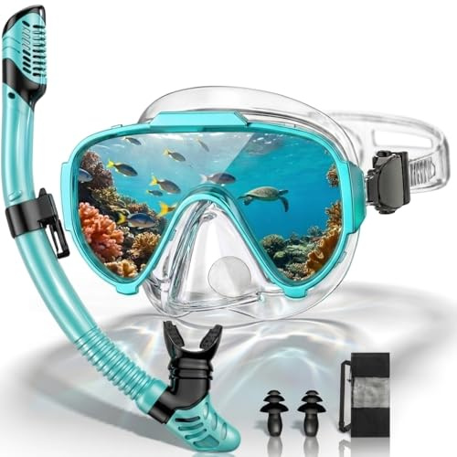 Arlierss Schnorchelset Erwachsene, Schnorcheln Set mit Schnorchel und Taucherbrille für Herren Damen, Tauchermaske 180° Panorama HD Gehärtetes Glas Anti-Fog Anti-Leck, Premium Dry Schnorchel
