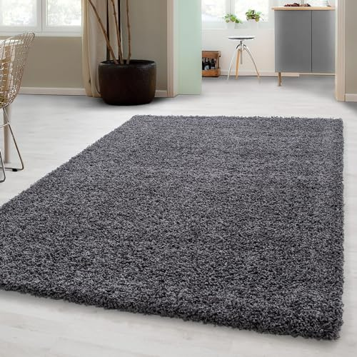 Carpetsale24 Shaggy Hochflor Teppich 120x170 cm Grau weich flauschig modern einfarbig Für Wohnzimmer oder Schlafzimmer für Wohnzimmer Schlafzimmer Flur