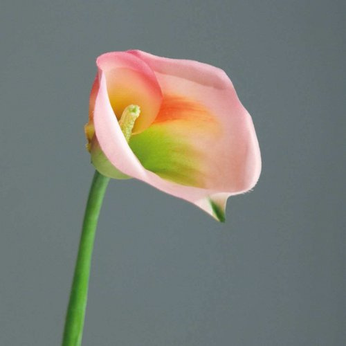 DPI Calla pink 68 cm Kunstblume