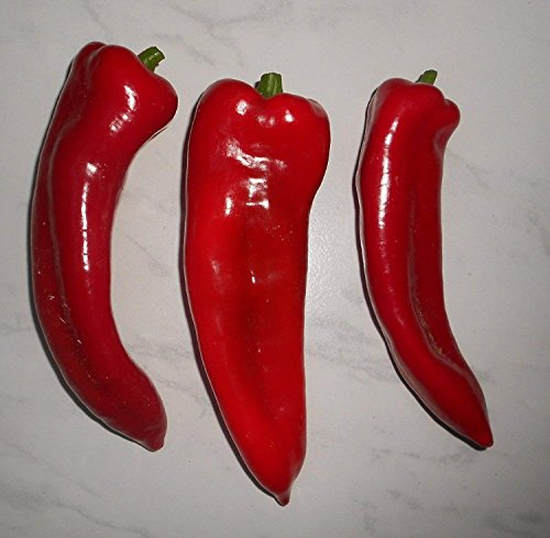 Spitzpaprika (Ungarischer-Spitzpaprika) 10 Samen -Sehr hoher Ertrag