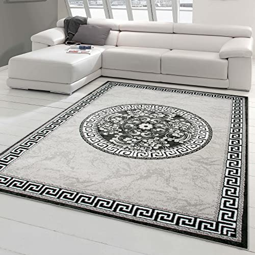 Teppich-Traum Orientteppich mit Glitzergarn | Bordüre & Verzierungen in Kreisform | grau anthrazit Creme 200x280 cm