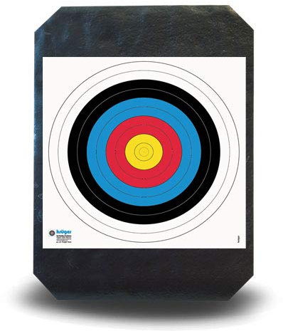 YATE Bogensport Zielscheibe Polimix R 80cm x 60cm 30 lbs für Indoor & Outdoor Waffensport Bogenschießscheibe Training Super leicht, einfaches Pfeile ziehen, sehr langlebig Foamscheibe Schaumscheibe