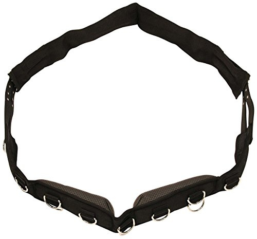 Kerbl Gurtband, breit, 9 Ringe mit verstellbarem Gurt