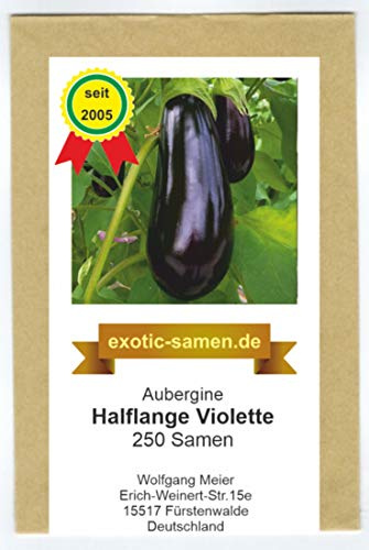 'Aubergine - halflange violette - schnellwüchsig - niederländische Züchtung - 250 Samen