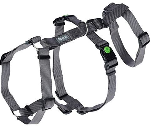 Kerbl Pet Panikgeschirr Miami | Grau, Halsumfang 30–41 cm, Gurtbreite 15 mm, robustes und verstellbares Sicherheitsgeschirr für ängstliche Hunde