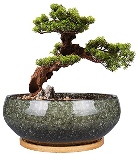 EPFamily Bonsai-Pflanztopf aus Keramik, glasiert, flach, Sukkulenten-Übertopf mit Ablaufloch und Untersetzer aus Bambus für Zimmerpflanzen, 20,3 cm, Grün