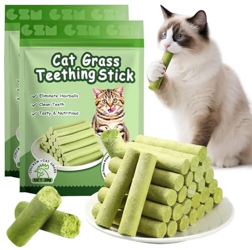 12 Stück Katzengras Snack, Cat Grass Teething Stick, Katzengras Sticks | Gefriergetrocknet Snacks für die Zahnpflege und Haarknäuel Entfernen, Katzenminze Sticks zur Verbesserung der Katzenverdauung