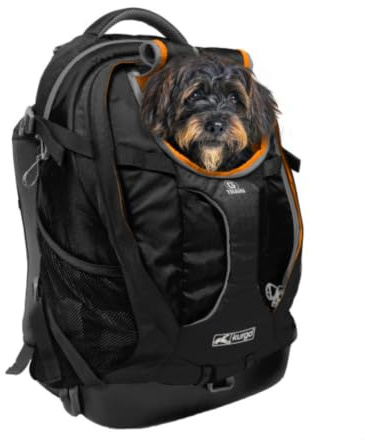 Kurgo G-Train Hundetransportrucksack, Schwarz