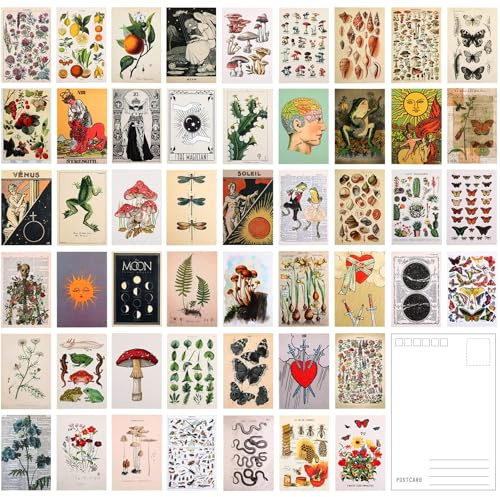 50 Stück Pflanzen Postkarten Vintage Botanical Postkarten Set Retro Ästhetisches Schmetterling Postkarten für Room Decor oder Schreiben Grußetterling Postkarten für Room Decor oder Schreiben Gruß