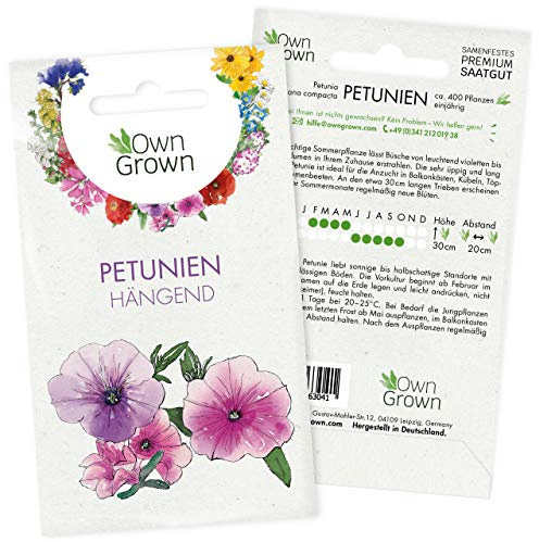 Petunie Samen: Premium Petunien Samen für ca 400 Petunien Pflanzen – Schöne Petunien Blumen Samen Balkon u. Garten Pflanzen – Blumensamen – Petunien Hängend Blumen Saatgut – Blumen für Balkon OwnGrown
