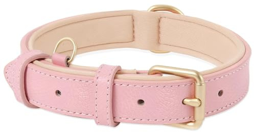 HEELE Hundehalsband Leder Hundehalsband mit Gepolstert und Echtes Leder, Verstellbar, Halsband für Welpen Mittlere Kleine Hunde, Rosa, M