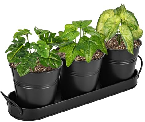 Kräutertöpfe für Drinnen Und Draussen， 3er Set Kräutertopf Küche Mit Tablett， Kräutergarten Küche Küchenkräuter Topf Kräutertopf Balkon Pflanzenanzuchttöpfe für Pflanzen, Blumen, Sukkulententöpfe