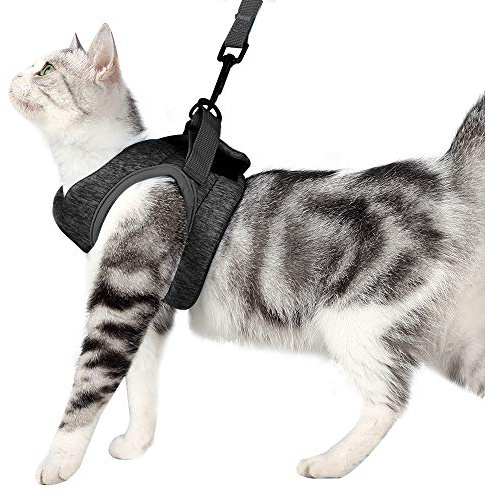 Poiinvc Ausbruchsicheres Katzengeschirr Set mit Katzenleinen, Haltbares Kitten Geschirr und Leine, Komfortabler Halsband-Geschirr-Kombination für Katzen und Kätzchen Grau M