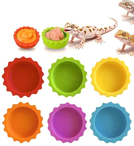 Meow&Woof Crested Gecko Futter- und Wassernapf für Reptilien, 6 Stück, bunte Wassernapf für Bartagamen, Terrarium, Zubehör für Schildkröten, Krabben und kleine Haustiere