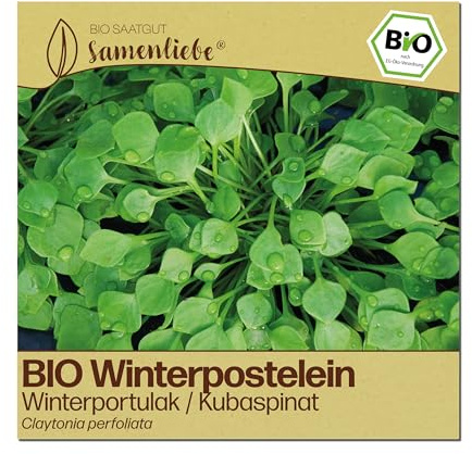 Samenliebe BIO Winterpostelein Samen | Postelein Winterportulak - winterhart - samenfestes BIO Saatgut