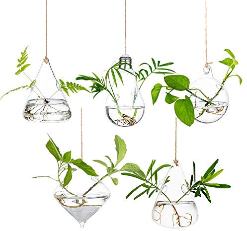 Glasseam Glas Hängen Pflanzgefäße Wasserpflanzenbehälter Terrarium