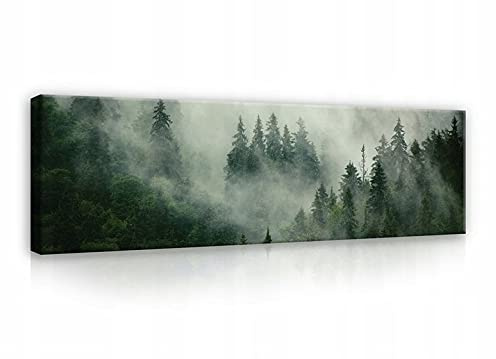 WallArena Leinwand Bilder 145x45 cm | Wald Nebel Grün Natur, Leinwandbilder, Bild auf leinwand, Format: 145x45 cm (BxH) - einteilig auf Canvas Leinwand
