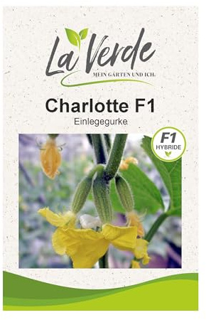 La Verde MEIN GARTEN UND ICH. Charlotte F1 Gurken Samen für ca. 40 Pflanzen, ertragreiche Einlegegurke, bitterfrei und multiresistent, Saatgut ohne Gentechnik